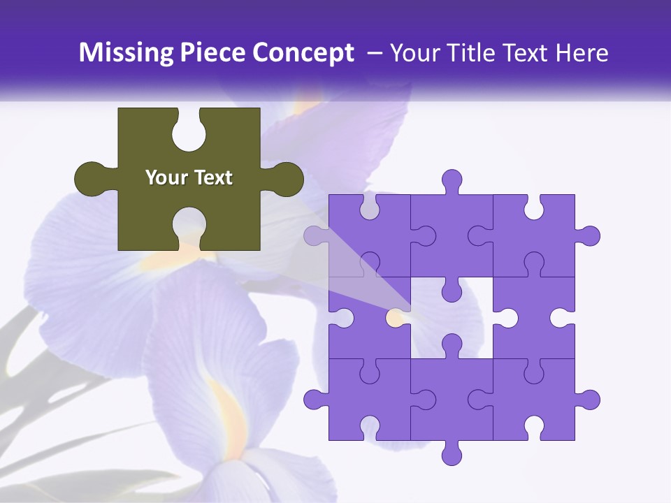 A Purple And Yellow Flower On A White Background PowerPoint Template