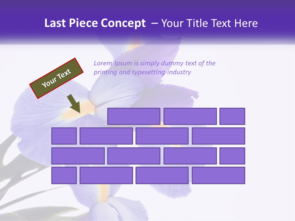 A Purple And Yellow Flower On A White Background PowerPoint Template