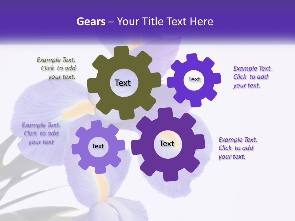 A Purple And Yellow Flower On A White Background PowerPoint Template