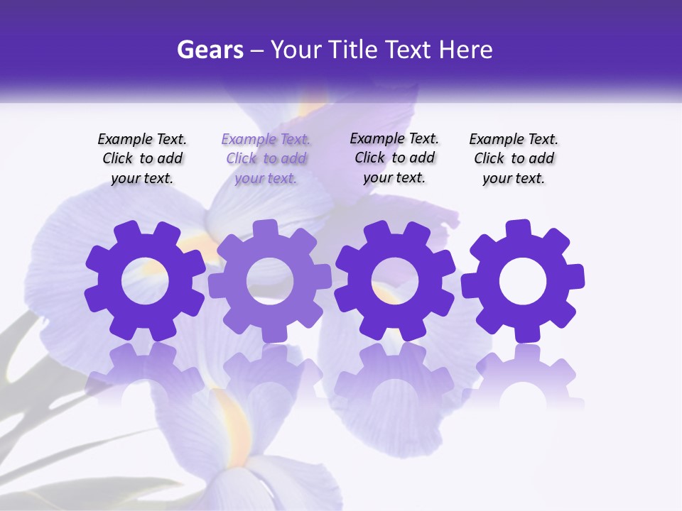 A Purple And Yellow Flower On A White Background PowerPoint Template