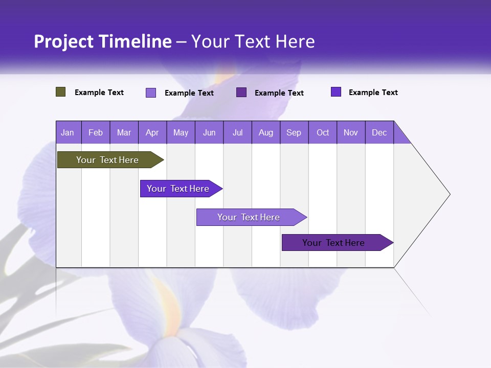 A Purple And Yellow Flower On A White Background PowerPoint Template