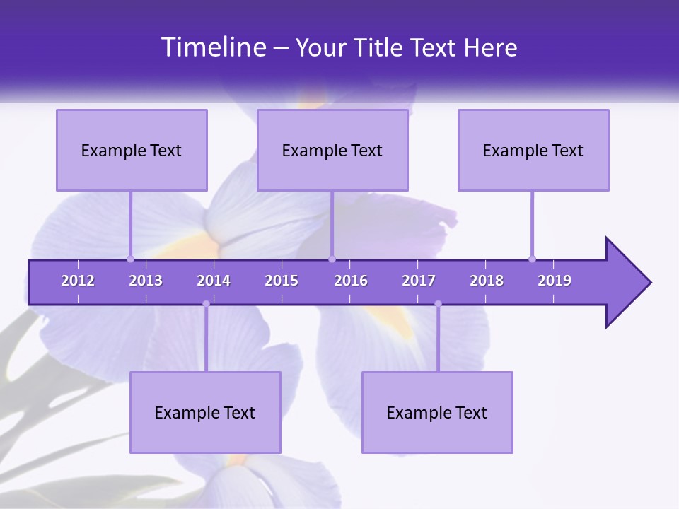 A Purple And Yellow Flower On A White Background PowerPoint Template