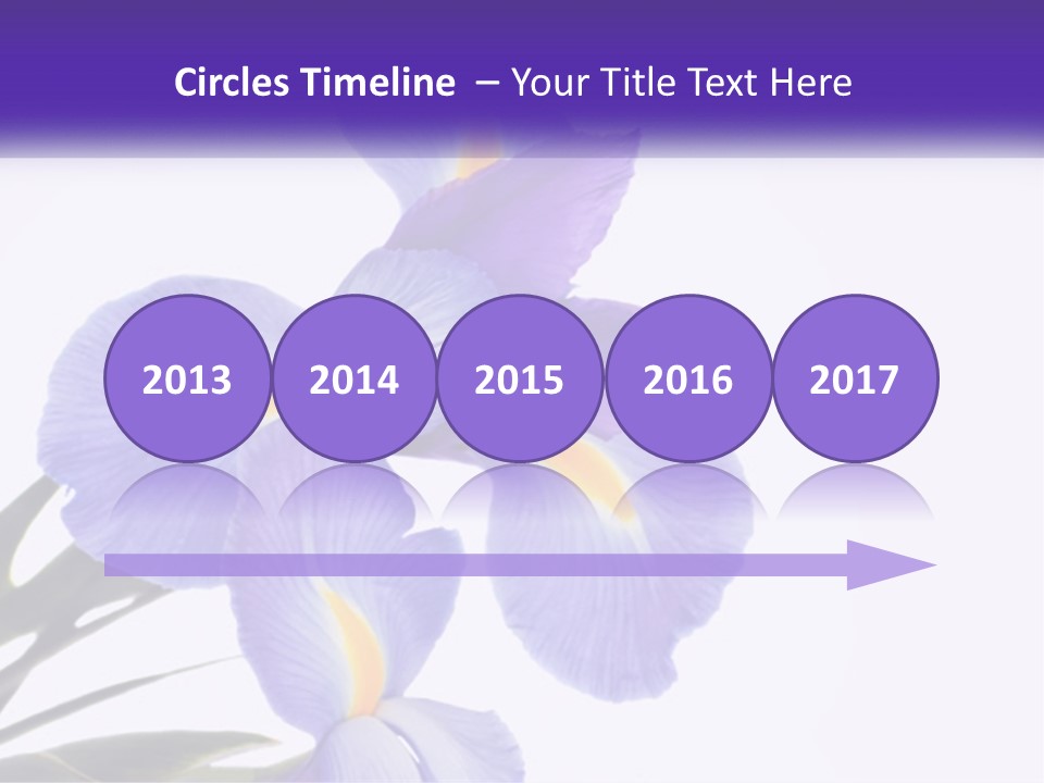 A Purple And Yellow Flower On A White Background PowerPoint Template