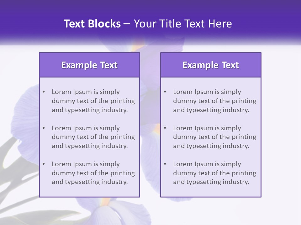 A Purple And Yellow Flower On A White Background PowerPoint Template