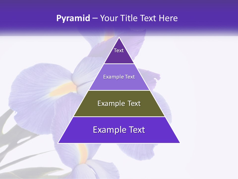 A Purple And Yellow Flower On A White Background PowerPoint Template