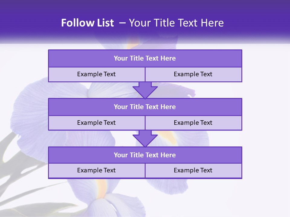 A Purple And Yellow Flower On A White Background PowerPoint Template