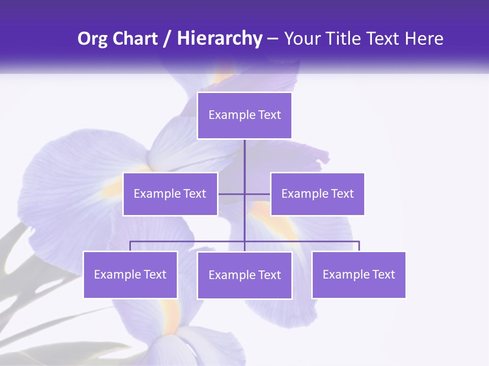 A Purple And Yellow Flower On A White Background PowerPoint Template