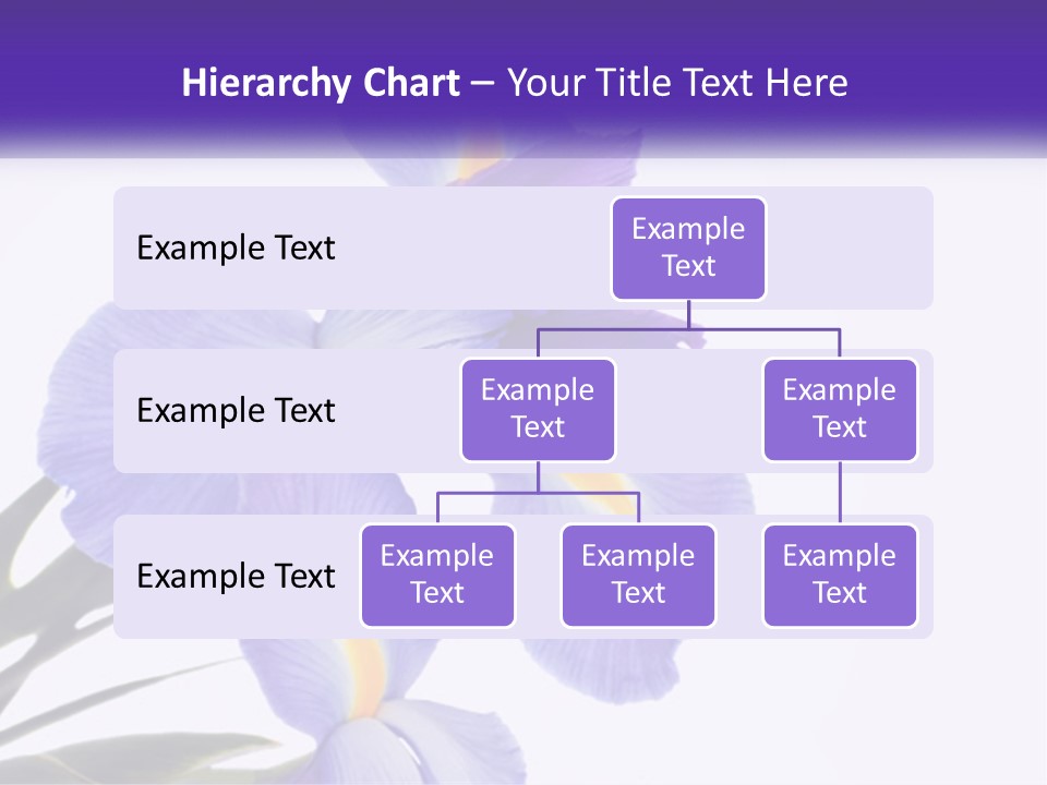 A Purple And Yellow Flower On A White Background PowerPoint Template