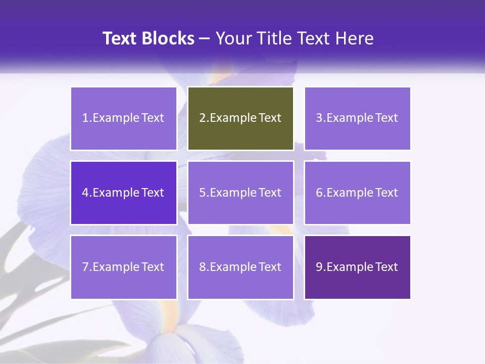 A Purple And Yellow Flower On A White Background PowerPoint Template