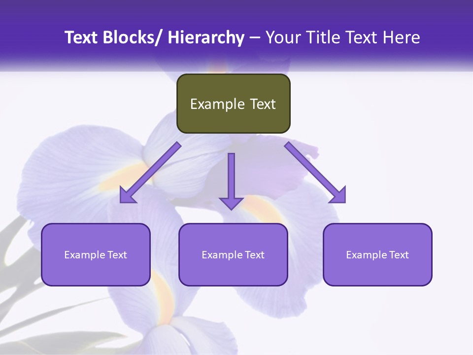 A Purple And Yellow Flower On A White Background PowerPoint Template
