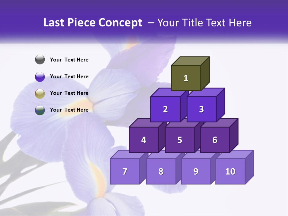 A Purple And Yellow Flower On A White Background PowerPoint Template