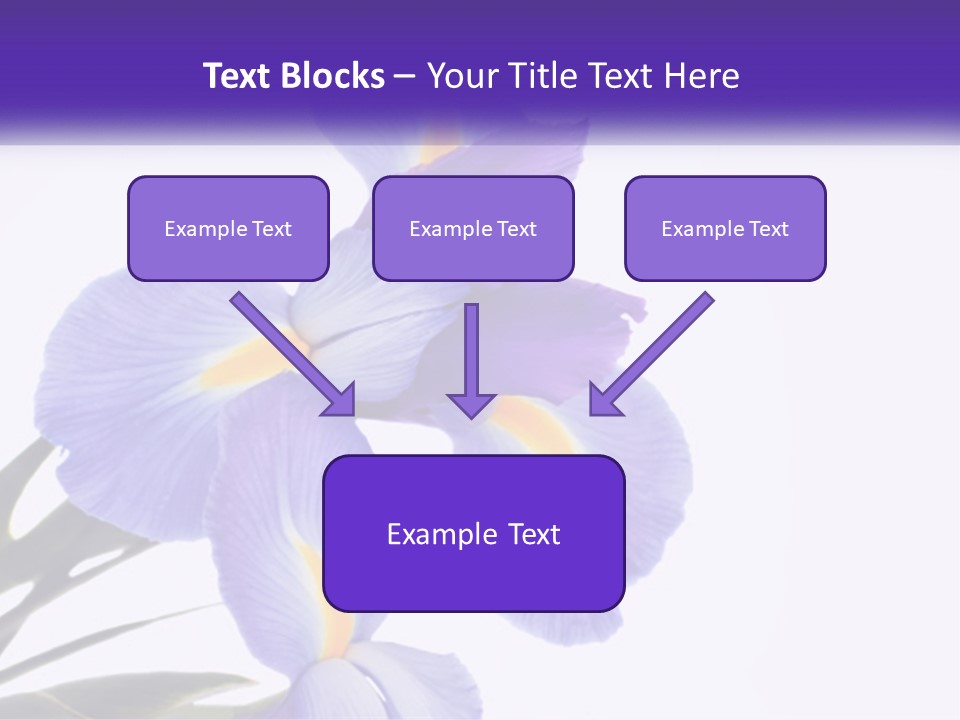 A Purple And Yellow Flower On A White Background PowerPoint Template