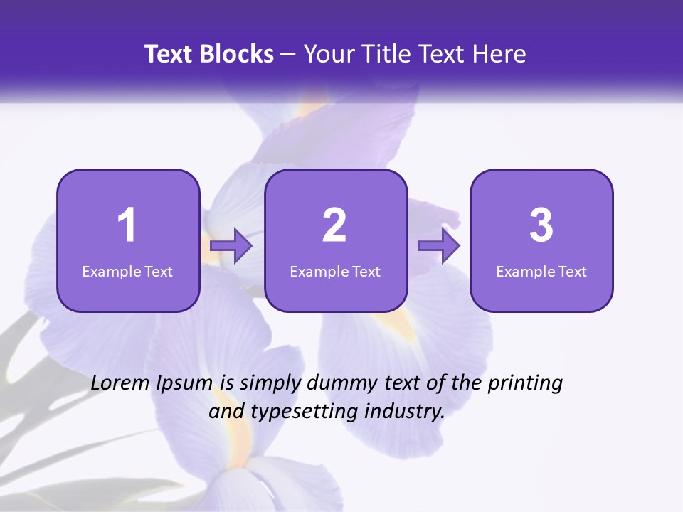 A Purple And Yellow Flower On A White Background PowerPoint Template