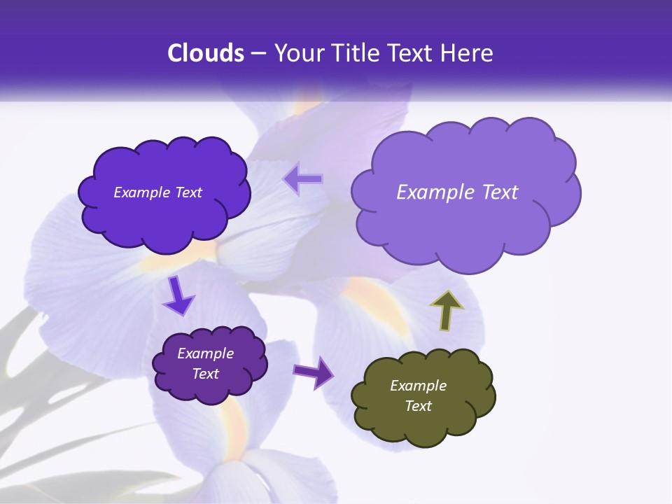 A Purple And Yellow Flower On A White Background PowerPoint Template