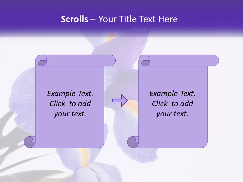 A Purple And Yellow Flower On A White Background PowerPoint Template