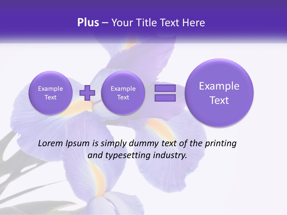 A Purple And Yellow Flower On A White Background PowerPoint Template