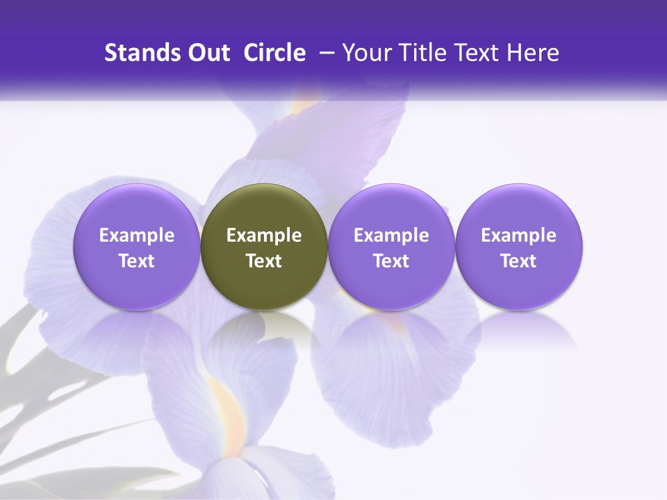 A Purple And Yellow Flower On A White Background PowerPoint Template