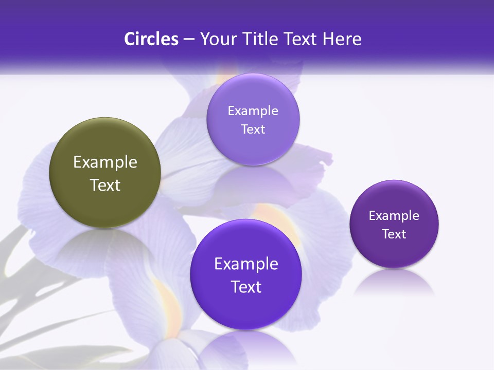 A Purple And Yellow Flower On A White Background PowerPoint Template