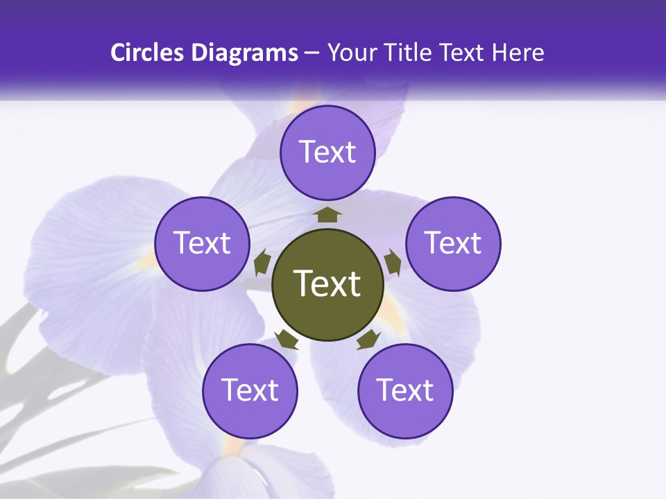 A Purple And Yellow Flower On A White Background PowerPoint Template