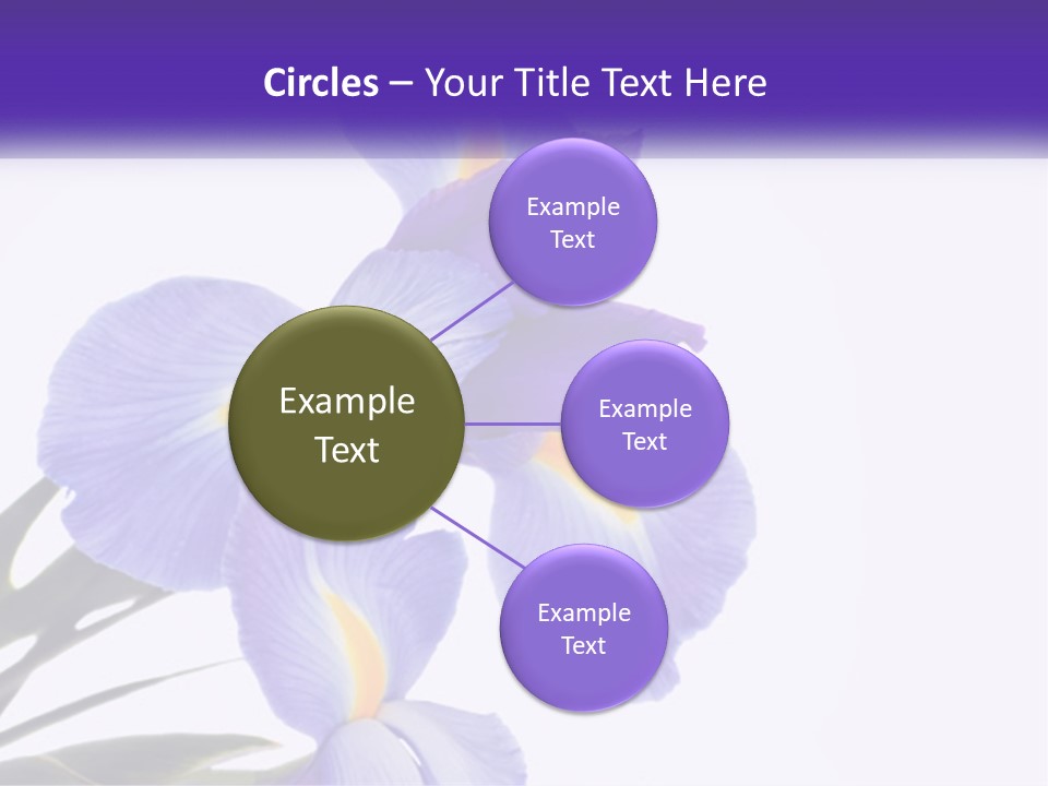 A Purple And Yellow Flower On A White Background PowerPoint Template