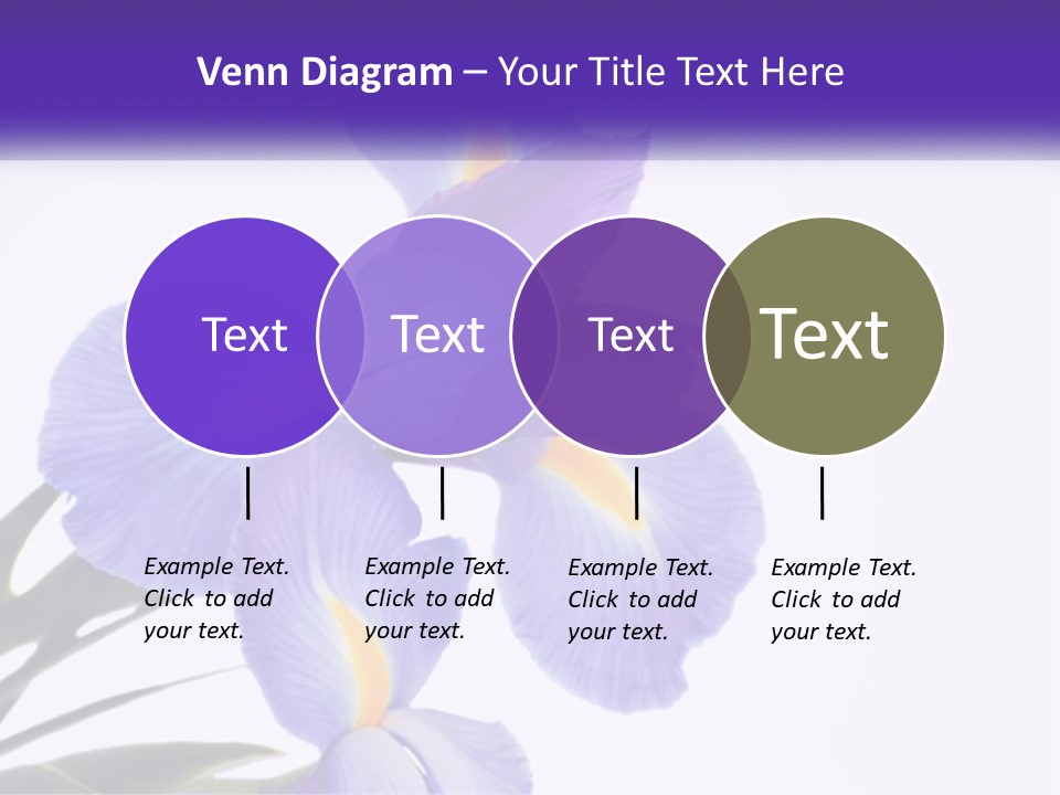 A Purple And Yellow Flower On A White Background PowerPoint Template
