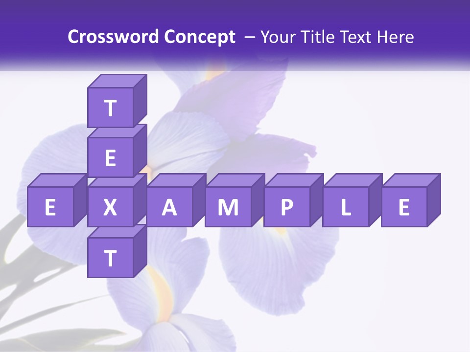 A Purple And Yellow Flower On A White Background PowerPoint Template