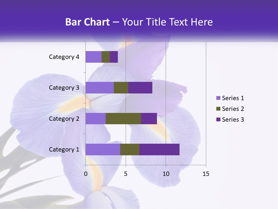 A Purple And Yellow Flower On A White Background PowerPoint Template