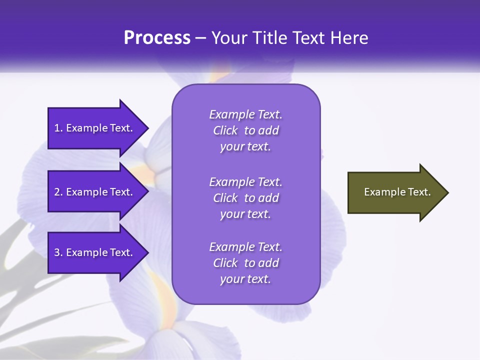 A Purple And Yellow Flower On A White Background PowerPoint Template