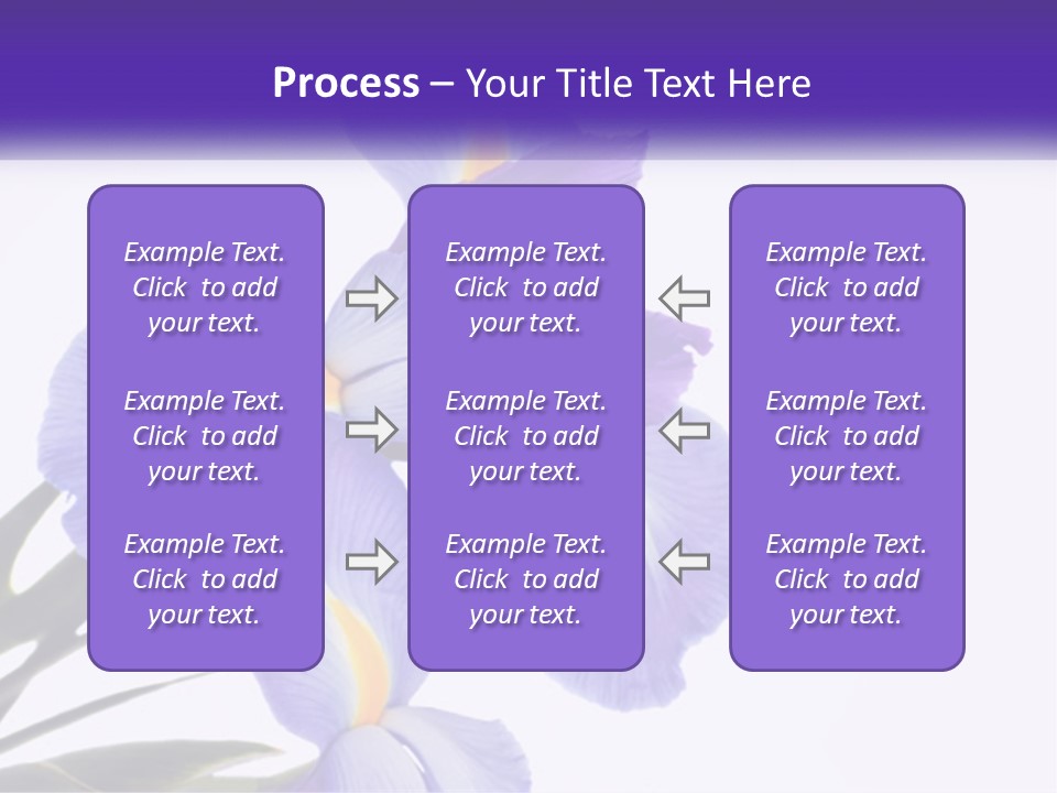 A Purple And Yellow Flower On A White Background PowerPoint Template