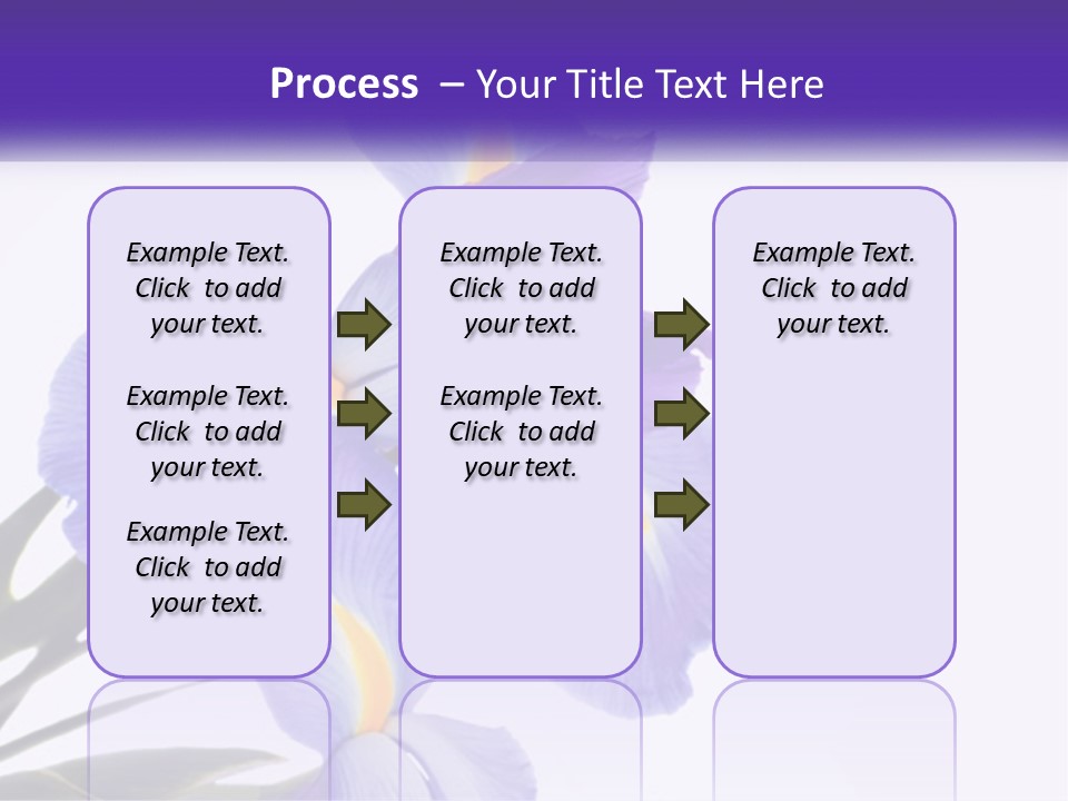A Purple And Yellow Flower On A White Background PowerPoint Template