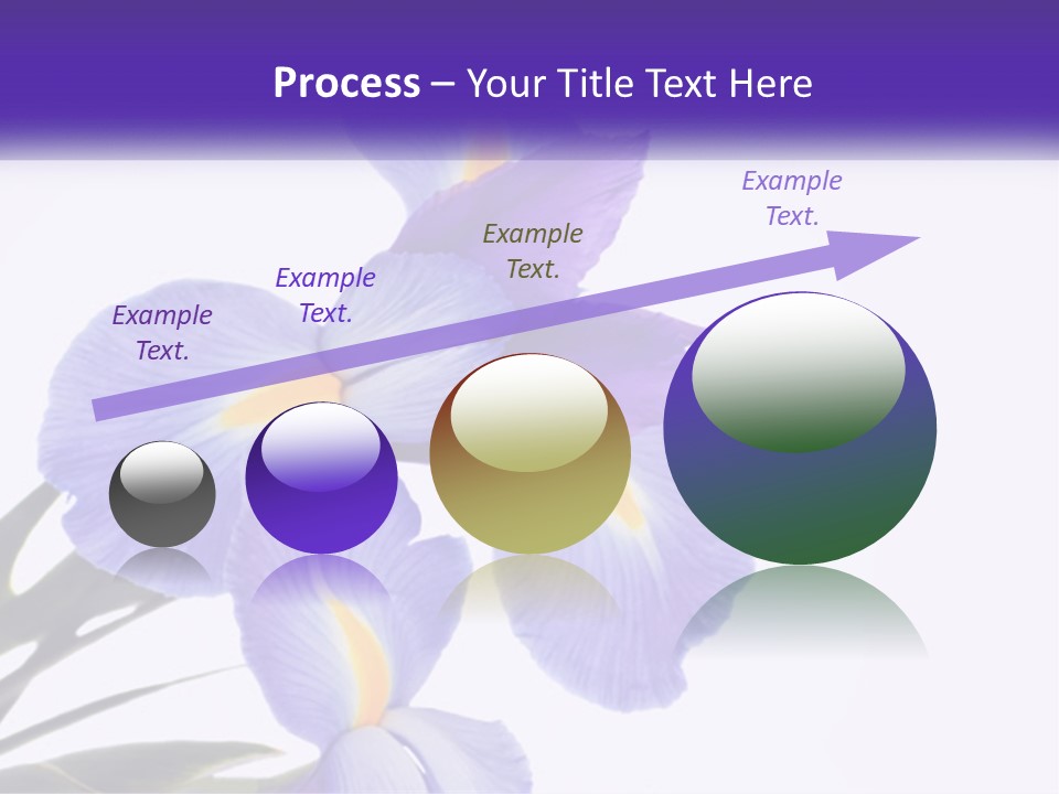 A Purple And Yellow Flower On A White Background PowerPoint Template