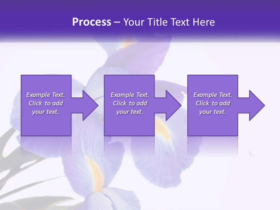 A Purple And Yellow Flower On A White Background PowerPoint Template