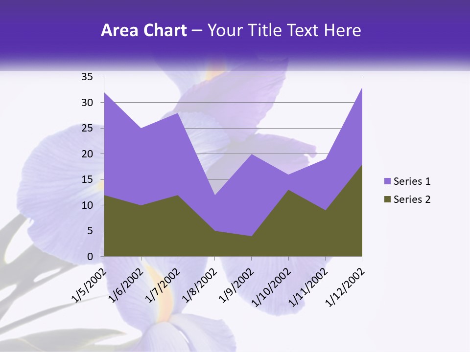 A Purple And Yellow Flower On A White Background PowerPoint Template