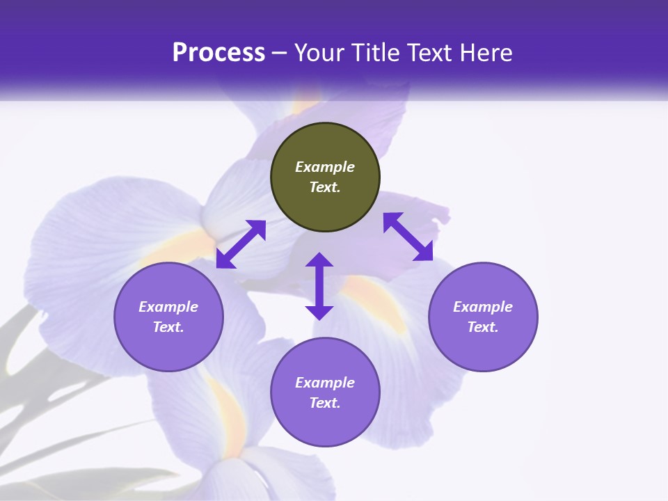 A Purple And Yellow Flower On A White Background PowerPoint Template