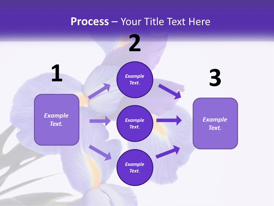 A Purple And Yellow Flower On A White Background PowerPoint Template