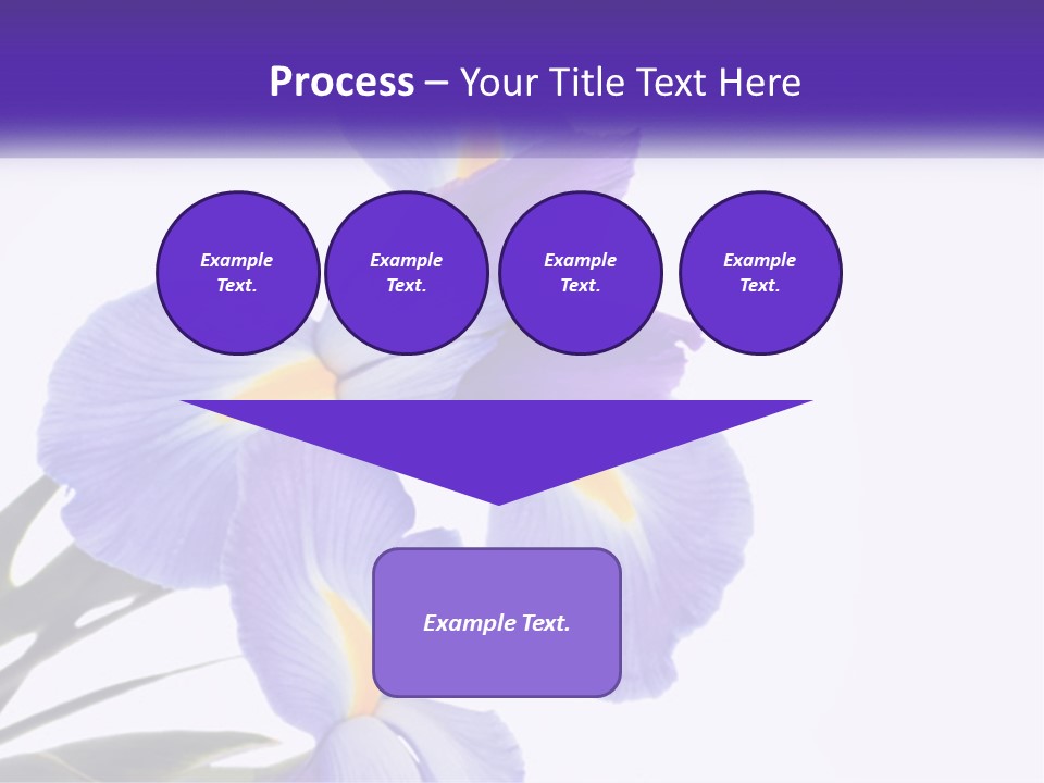 A Purple And Yellow Flower On A White Background PowerPoint Template