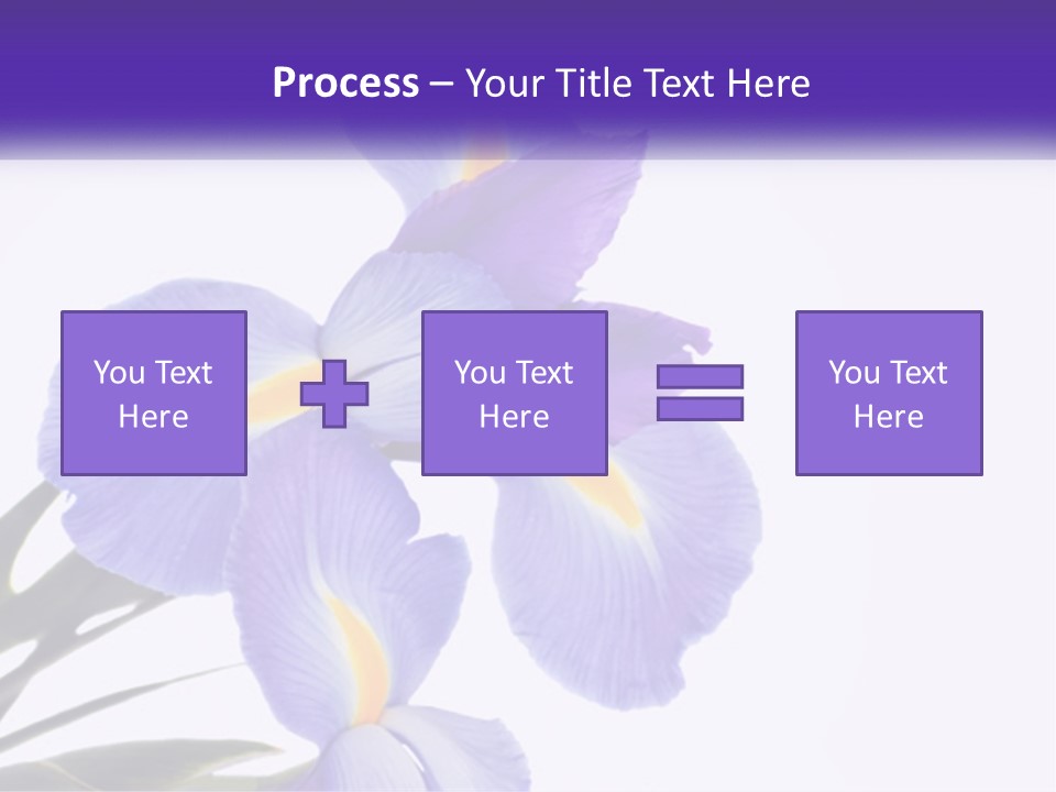 A Purple And Yellow Flower On A White Background PowerPoint Template