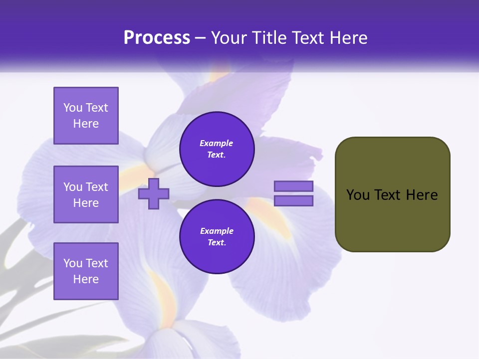A Purple And Yellow Flower On A White Background PowerPoint Template