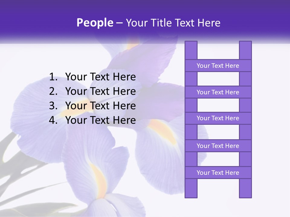 A Purple And Yellow Flower On A White Background PowerPoint Template