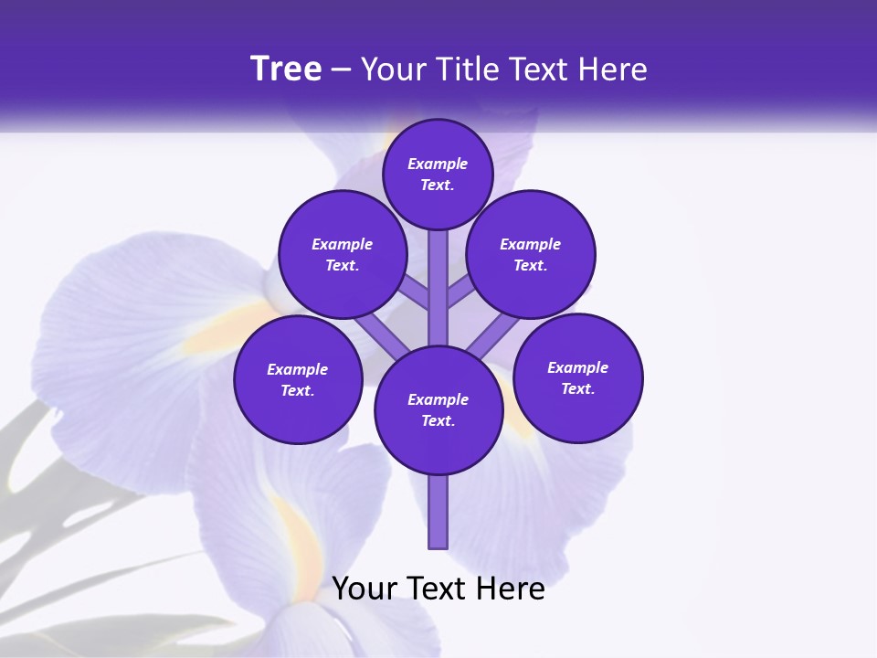 A Purple And Yellow Flower On A White Background PowerPoint Template