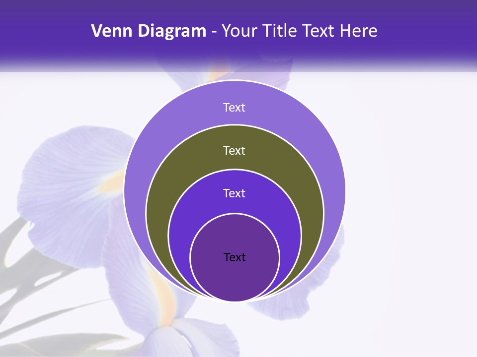 A Purple And Yellow Flower On A White Background PowerPoint Template