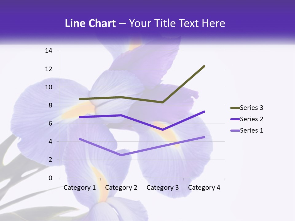 A Purple And Yellow Flower On A White Background PowerPoint Template