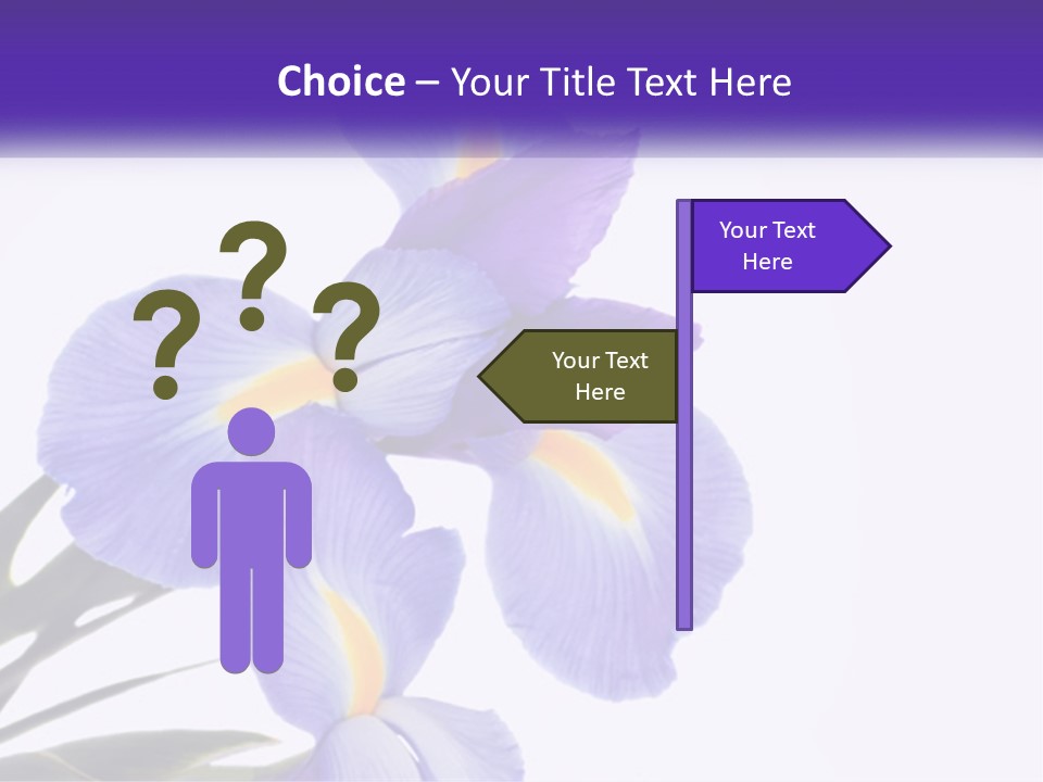 A Purple And Yellow Flower On A White Background PowerPoint Template