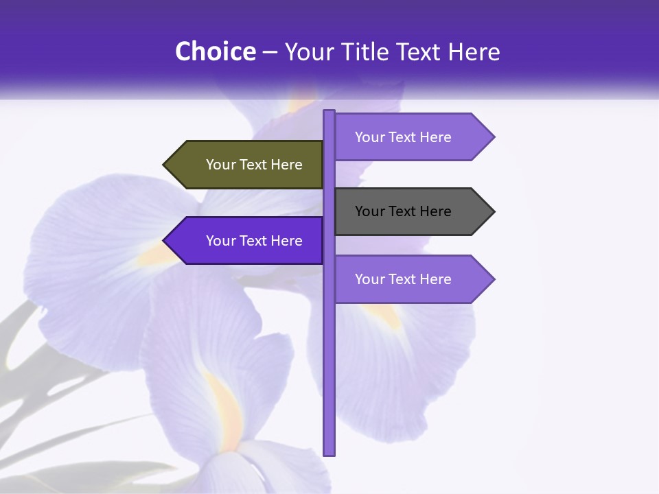 A Purple And Yellow Flower On A White Background PowerPoint Template