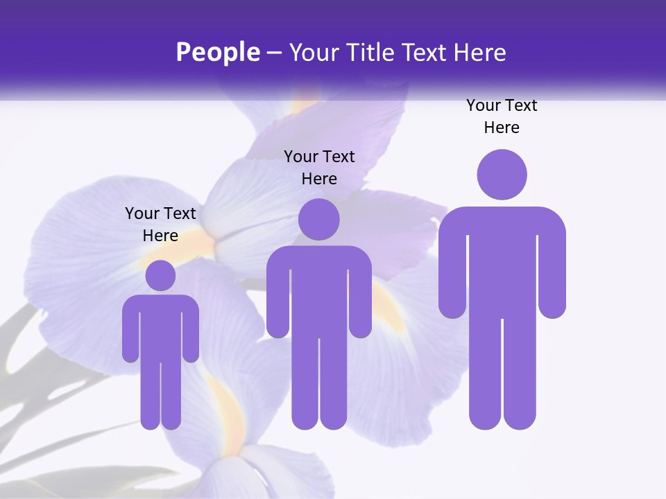 A Purple And Yellow Flower On A White Background PowerPoint Template