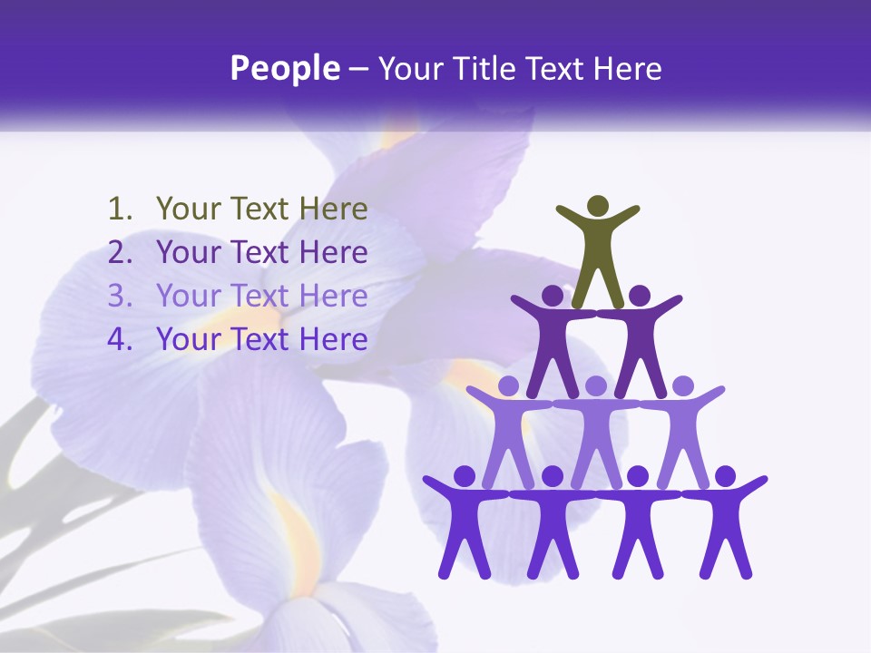 A Purple And Yellow Flower On A White Background PowerPoint Template