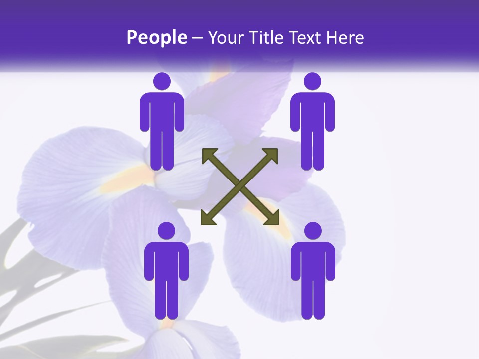 A Purple And Yellow Flower On A White Background PowerPoint Template