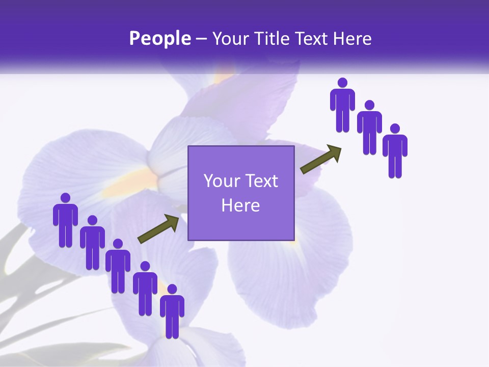 A Purple And Yellow Flower On A White Background PowerPoint Template