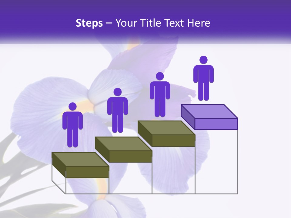 A Purple And Yellow Flower On A White Background PowerPoint Template