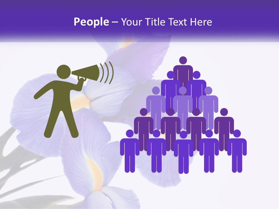 A Purple And Yellow Flower On A White Background PowerPoint Template